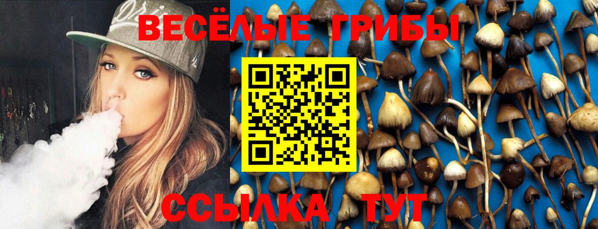 Заинск  Псилоцибиновые грибы MAGIC MUSHROOMS  Вход с VPN 